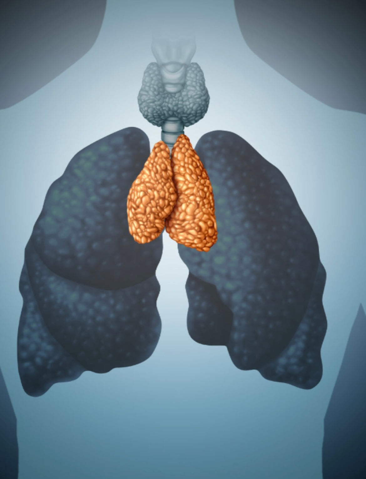 Einzelsitzung Holotropes Atmen