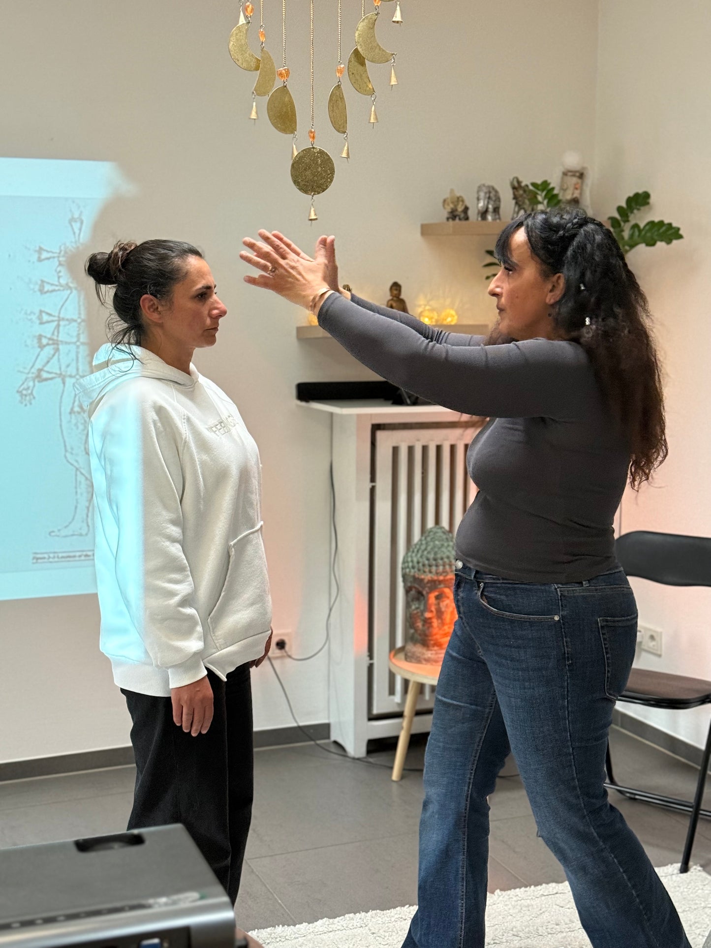 Bioenergie Erstsitzung- Anamnese, energetischer Scan & Grundreinigung